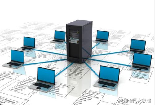 計算機網(wǎng)絡(luò)技術(shù)專業(yè) 聚焦軟硬件開發(fā)，解鎖熱門就業(yè)方向與廣闊前景